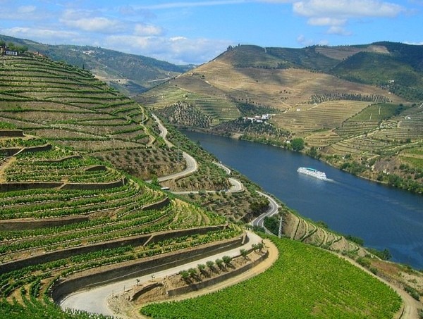 cruzeiros-douro