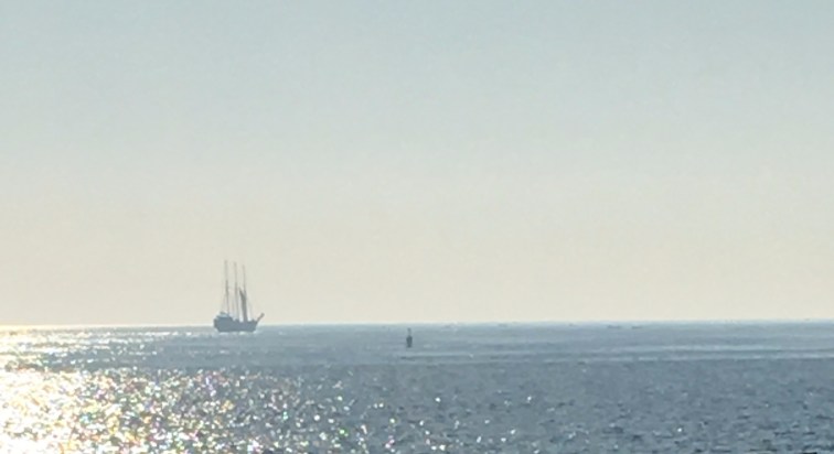 20171118_145420273_iOS